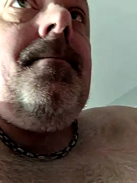 Bibear197511 online show from 11-26-25, 12:17