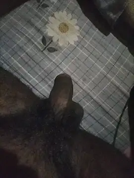 naxusxh online show from 11-07-25, 05:57