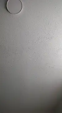 6lue6a6y69 online show from 02-03-25, 12:58