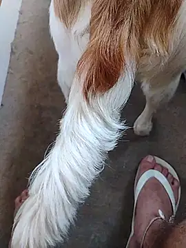 yourboysexy19 online show from 12-04-25, 09:01