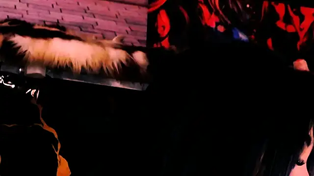 indian dreamgirl online show from 04-08-26, 12:05