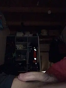 Chris-LE91 online show from 01-15-26, 03:55