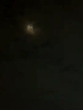 jesusthedonkey online show from 11-30-25, 01:31