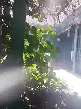 sofy alone online show from 01-02-25, 05:39