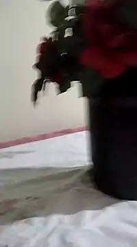 Snapshot of catdool chatting on 01-23-25, 03:26 catdool online show from 01-23-25, 03:26