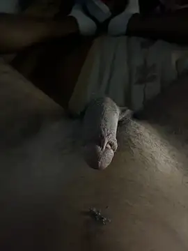 Snapshot of mamoubz chatting on 11-03-25, 11:04 mamoubz online show from 11-03-25, 11:04