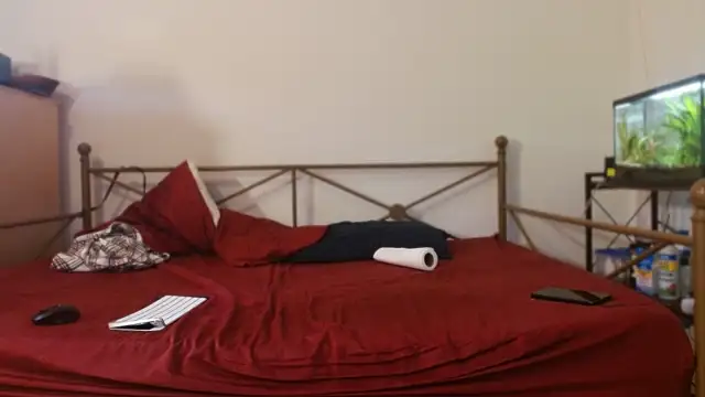 Snapshot of Dragonnyc@xh chatting on 02-21-26, 08:54 Dragonnycxh online show from 02-21-26, 08:54