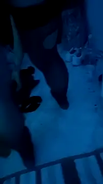 Misspadrona88 online show from 12-13-25, 10:37