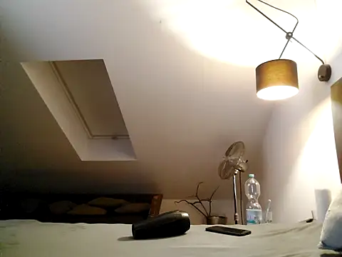 Prinzalbert7xh online show from 01-28-25, 06:49