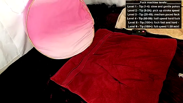 GamerGirlRoxyAndLee online show from 06-15-26, 08:22