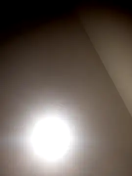 sua sub  online show from 03-23-26, 08:29