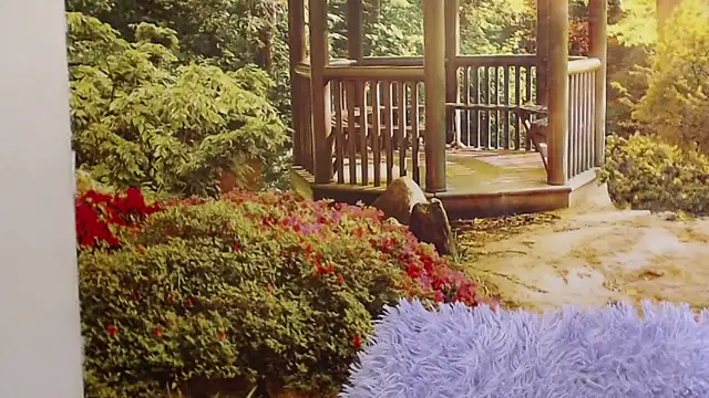 Pavla Soft online show from 04-24-26, 09:01