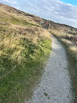 Mark3706 online show from 12-03-24, 11:55