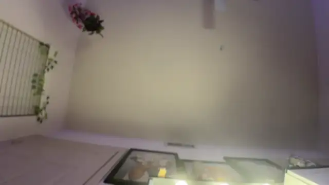 rennibear online show from 12-09-24, 02:56