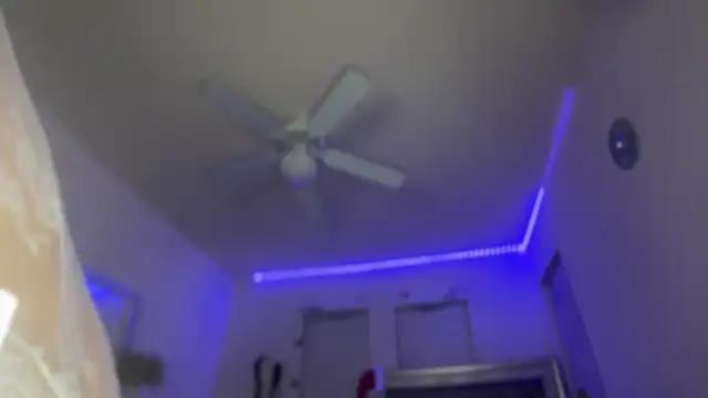 rennibear online show from 12-12-24, 01:10
