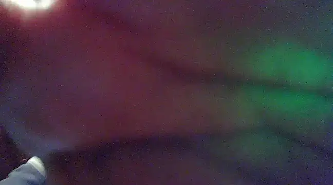 crazyneighbo r online show from 12-02-24, 12:41