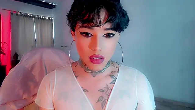 little star porn online show from 02-20-25, 04:14