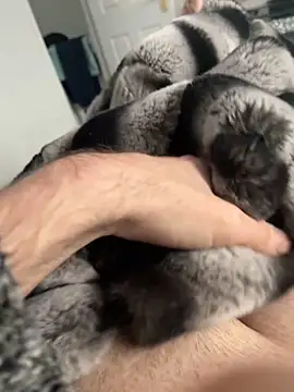 Snapshot of Furdale chatting on 12-02-24, 12:40 Furdale online show from 12-02-24, 12:40