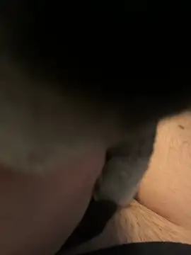 Snapshot of Furdale chatting on 12-16-24, 01:11 Furdale online show from 12-16-24, 01:11