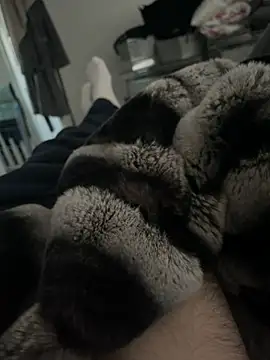 Snapshot of Furdale chatting on 12-18-24, 03:00 Furdale online show from 12-18-24, 03:00