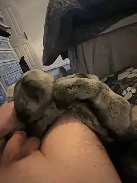 Snapshot of Furdale chatting on 01-01-25, 03:46 Furdale online show from 01-01-25, 03:46