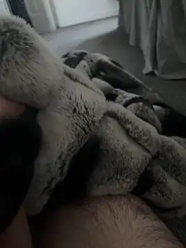 Snapshot of Furdale chatting on 01-07-25, 10:43 Furdale online show from 01-07-25, 10:43