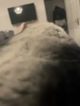 Snapshot of Furdale chatting on 01-13-25, 04:08 Furdale online show from 01-13-25, 04:08