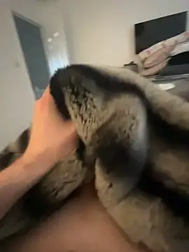 Snapshot of Furdale chatting on 02-08-25, 09:46 Furdale online show from 02-08-25, 09:46