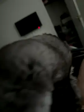 Snapshot of Furdale chatting on 10-02-25, 03:30 Furdale online show from 10-02-25, 03:30