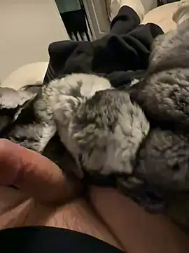 Furdale online show from 02-03-26, 06:35