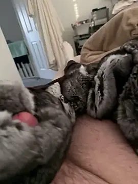 Furdale online show from 02-17-26, 04:24