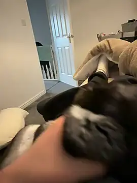 Furdale online show from 03-12-26, 04:57