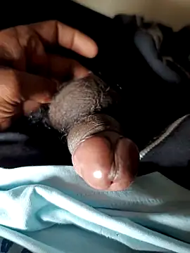 malluflash online show from 11-29-25, 04:04