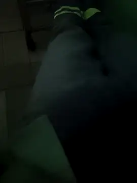 Snapshot of N-lS chatting on 03-25-26, 06:14 N-lS online show from 03-25-26, 06:14