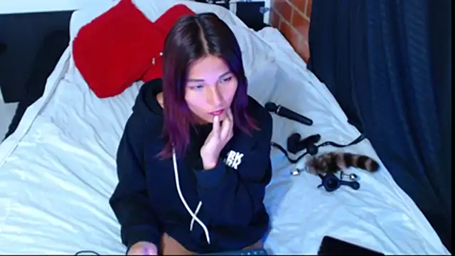 Snapshot of Sofynix chatting on 12-16-25, 09:42 Sofynix online show from 12-16-25, 09:42