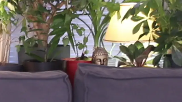 Lily minx online show from 11-13-25, 03:38