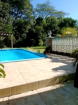 Snapshot of dutra498 chatting on 02-09-26, 07:18 dutra498 online show from 02-09-26, 07:18