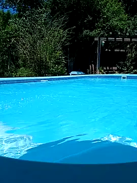 Snapshot of dutra498 chatting on 02-11-26, 04:23 dutra498 online show from 02-11-26, 04:23