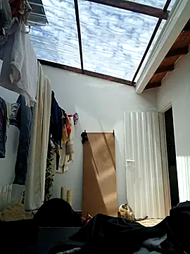 LunaZambrano online show from 09-08-25, 03:44