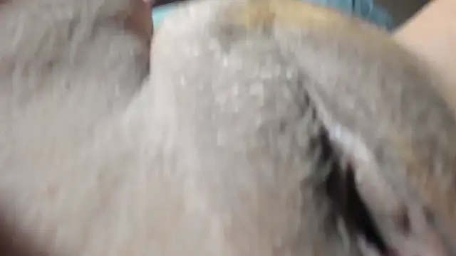 Snapshot of FrumCake chatting on 12-27-24, 01:11 FrumCake online show from 12-27-24, 01:11