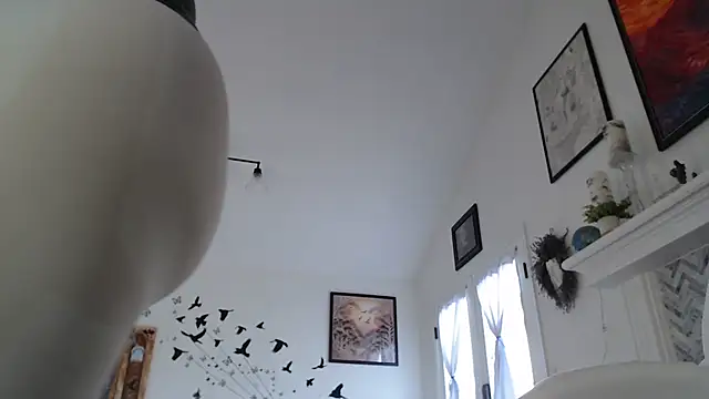 AuroraWillows online show from 01-19-26, 03:16