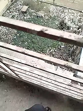 chittagong77 online show from 02-22-26, 09:52