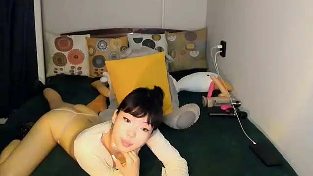 Stripchatlady online show from 04-13-26, 01:38