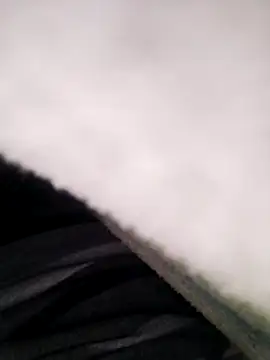 Pitercom online show from 11-10-25, 08:41