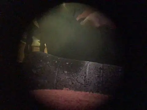 translove online show from 12-09-24, 07:50