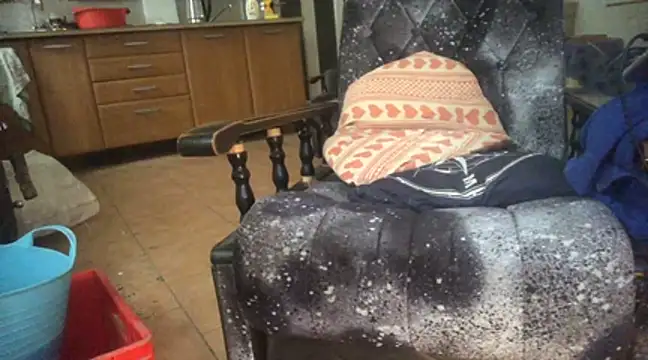 translove online show from 01-05-25, 09:48