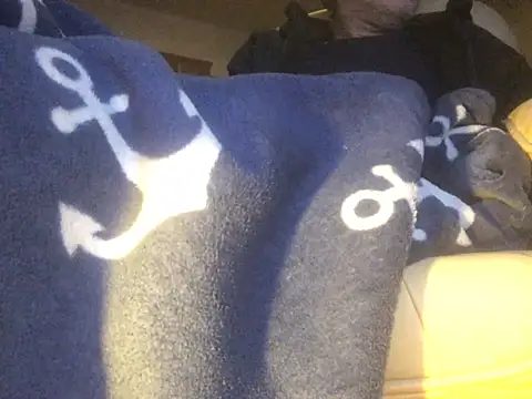 translove online show from 02-14-25, 08:05