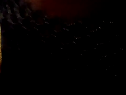 BIG-CkD F online show from 04-27-26, 08:07