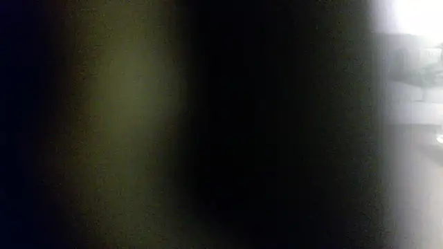 palidin1 online show from 02-01-26, 07:51