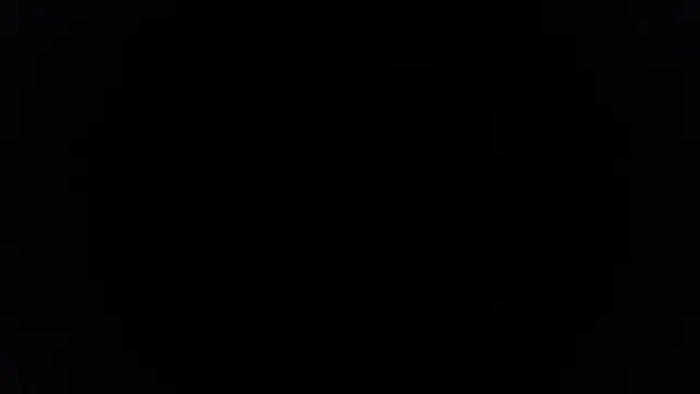 palidin1 online show from 04-20-26, 05:54